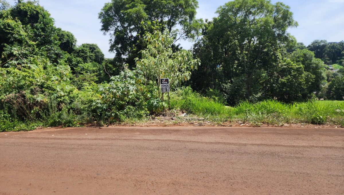 WhatsApp Image 2026-01-09 at 15.28.45