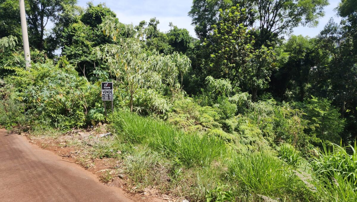 WhatsApp Image 2026-01-09 at 15.28.45 (2)