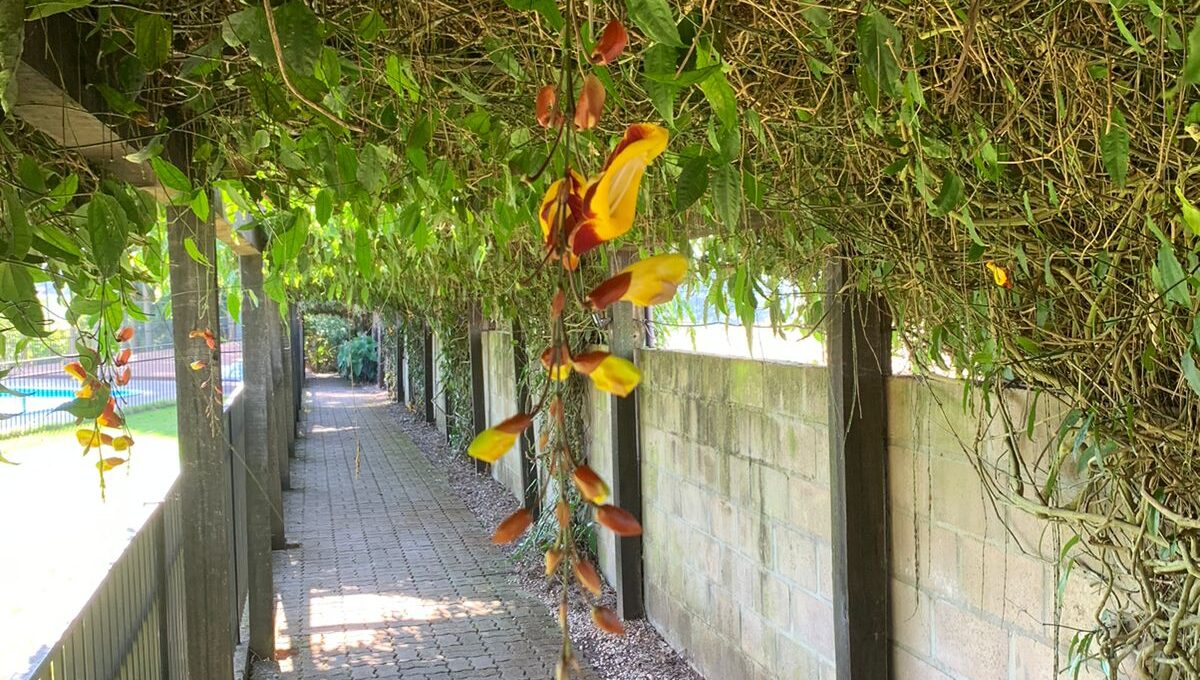 WhatsApp Image 2024-04-02 at 10.15.26 (1)