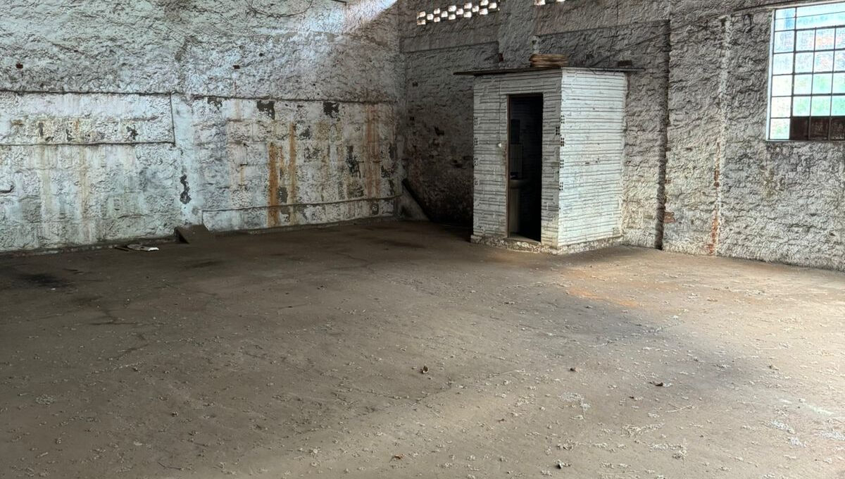 WhatsApp Image 2024-06-03 at 09.10.34 (3)