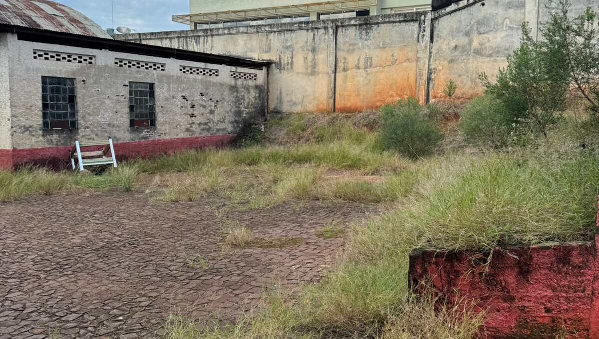 WhatsApp Image 2024-06-03 at 09.10.37