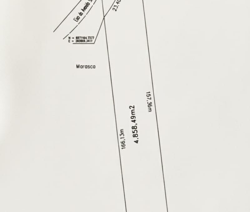 WhatsApp Image 2025-11-27 at 11.33.14