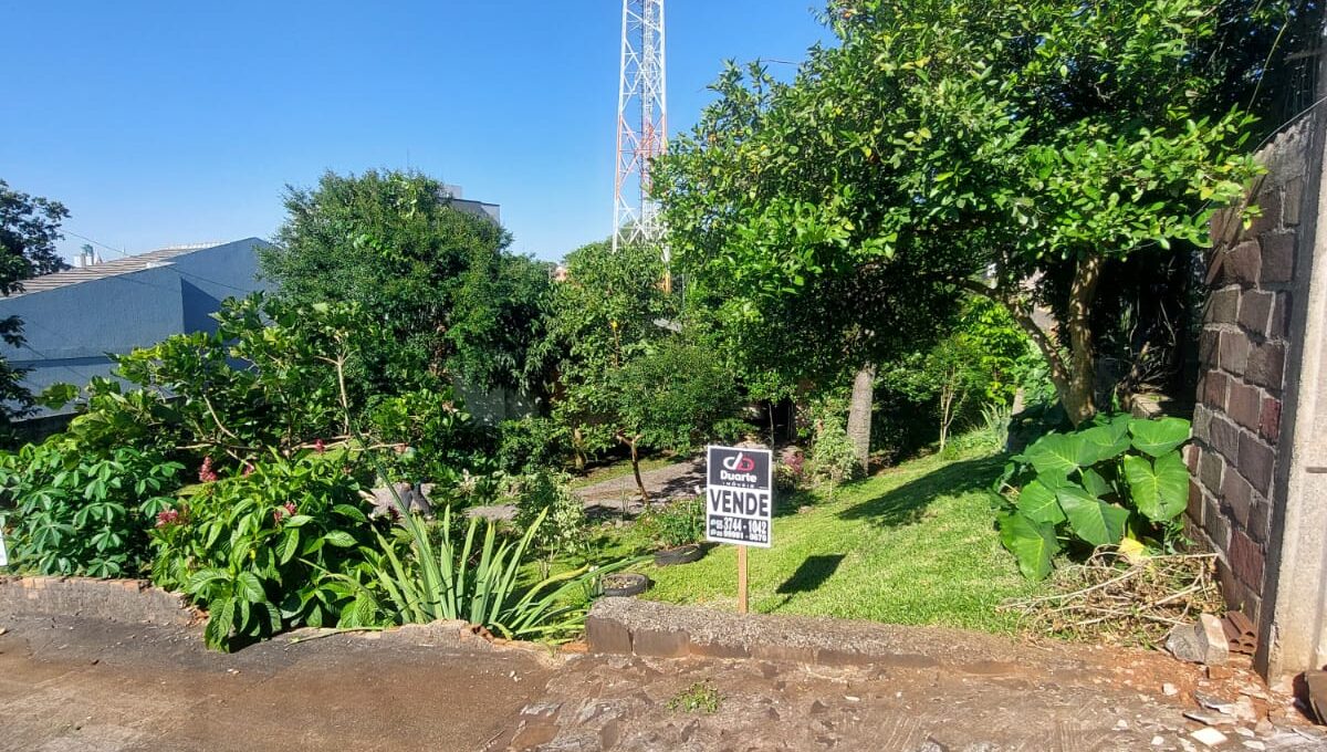 WhatsApp Image 2024-11-14 at 16.47.29