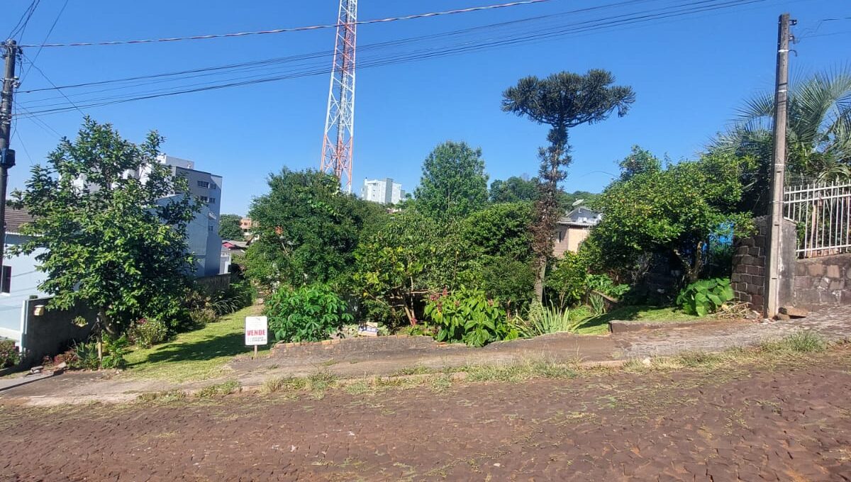 WhatsApp Image 2024-11-14 at 16.47.30