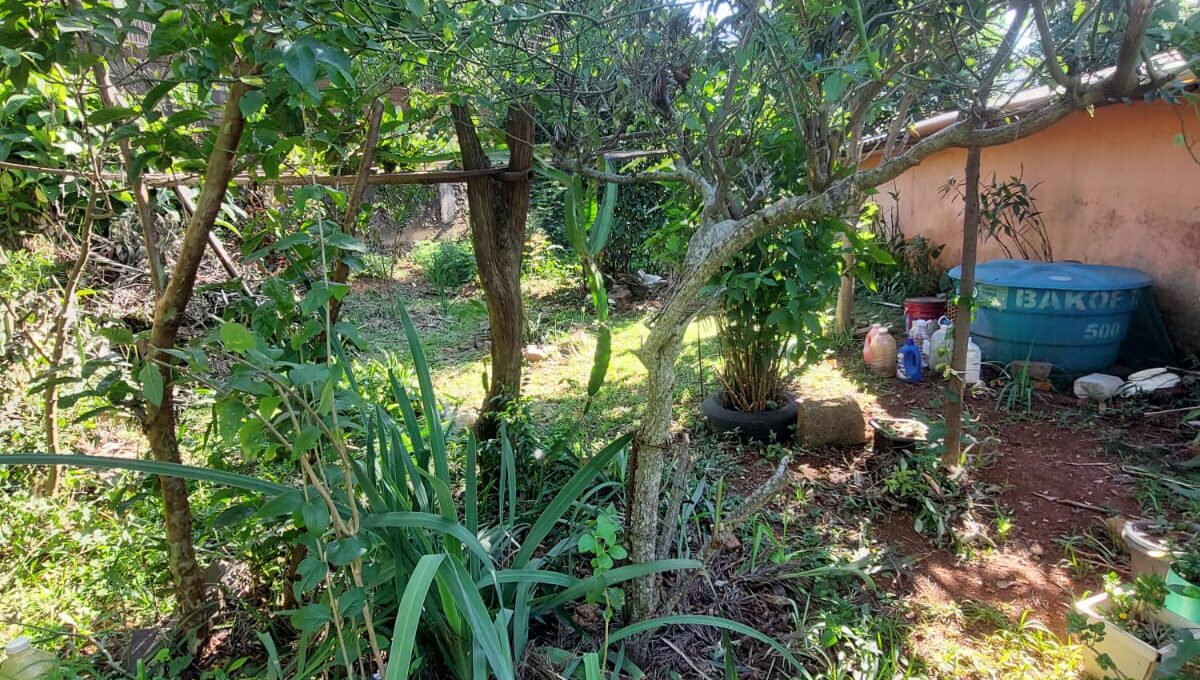 WhatsApp Image 2024-11-14 at 16.47.37 (1)