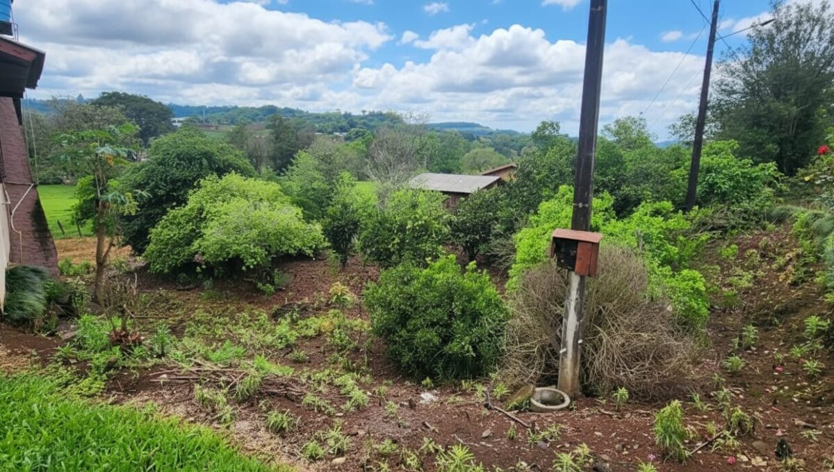 WhatsApp Image 2025-10-07 at 09.27.42 (2)