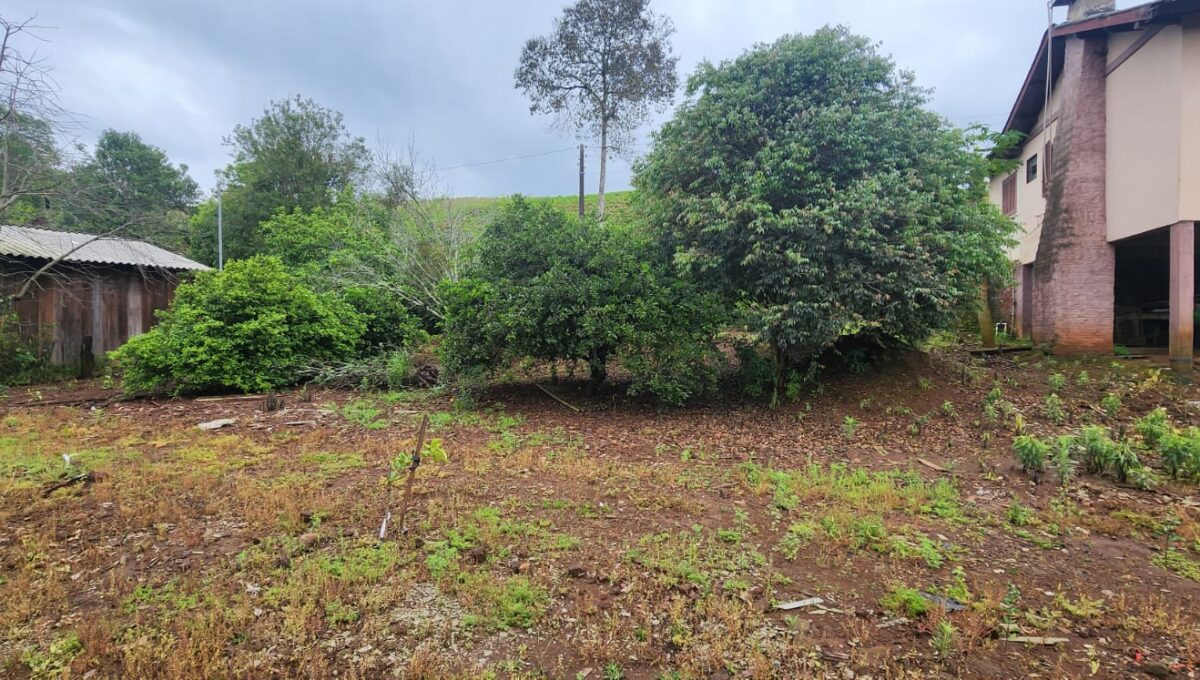 WhatsApp Image 2025-10-07 at 09.27.44