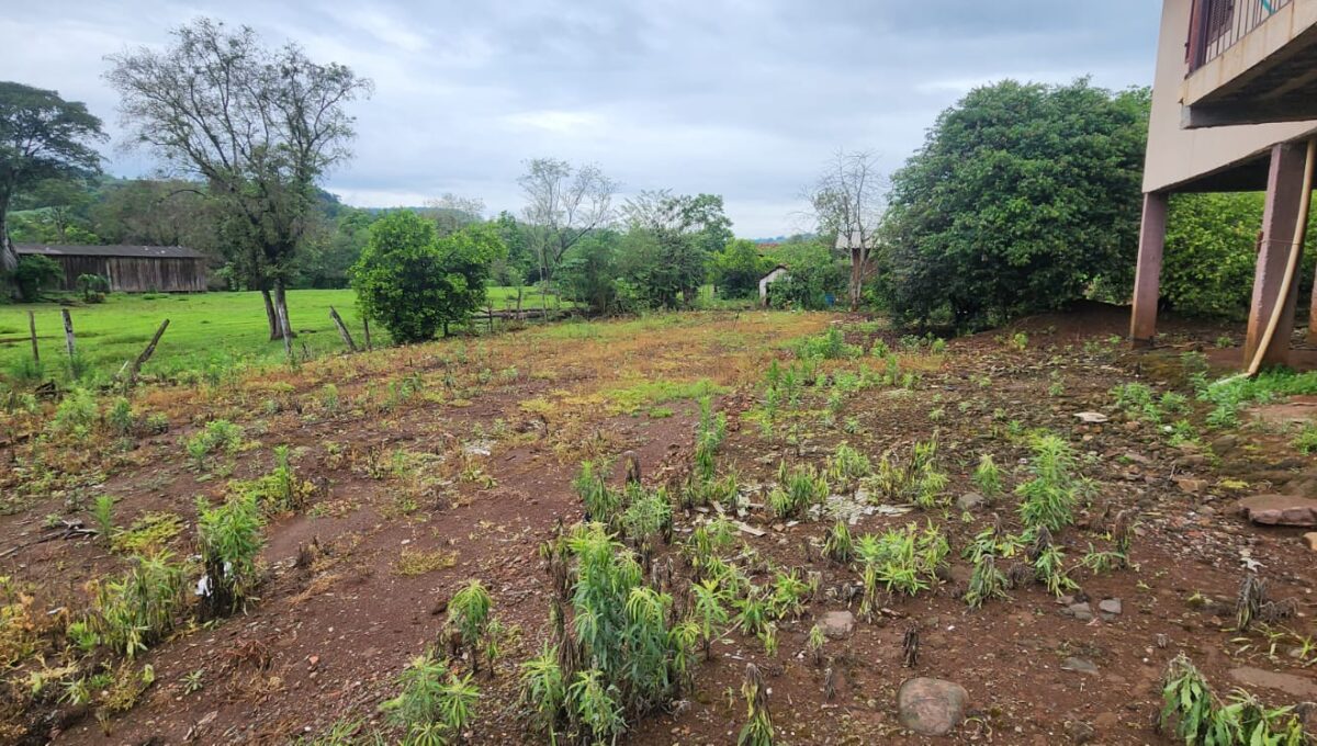 WhatsApp Image 2025-10-07 at 09.27.44 (3)