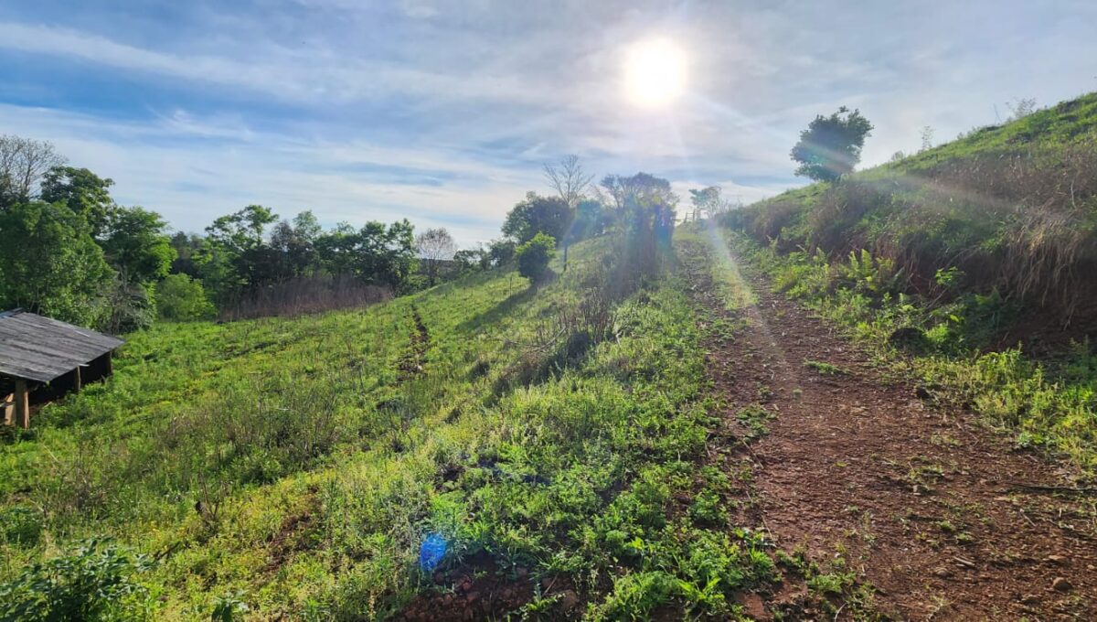 WhatsApp Image 2025-10-17 at 15.41.45 (1)