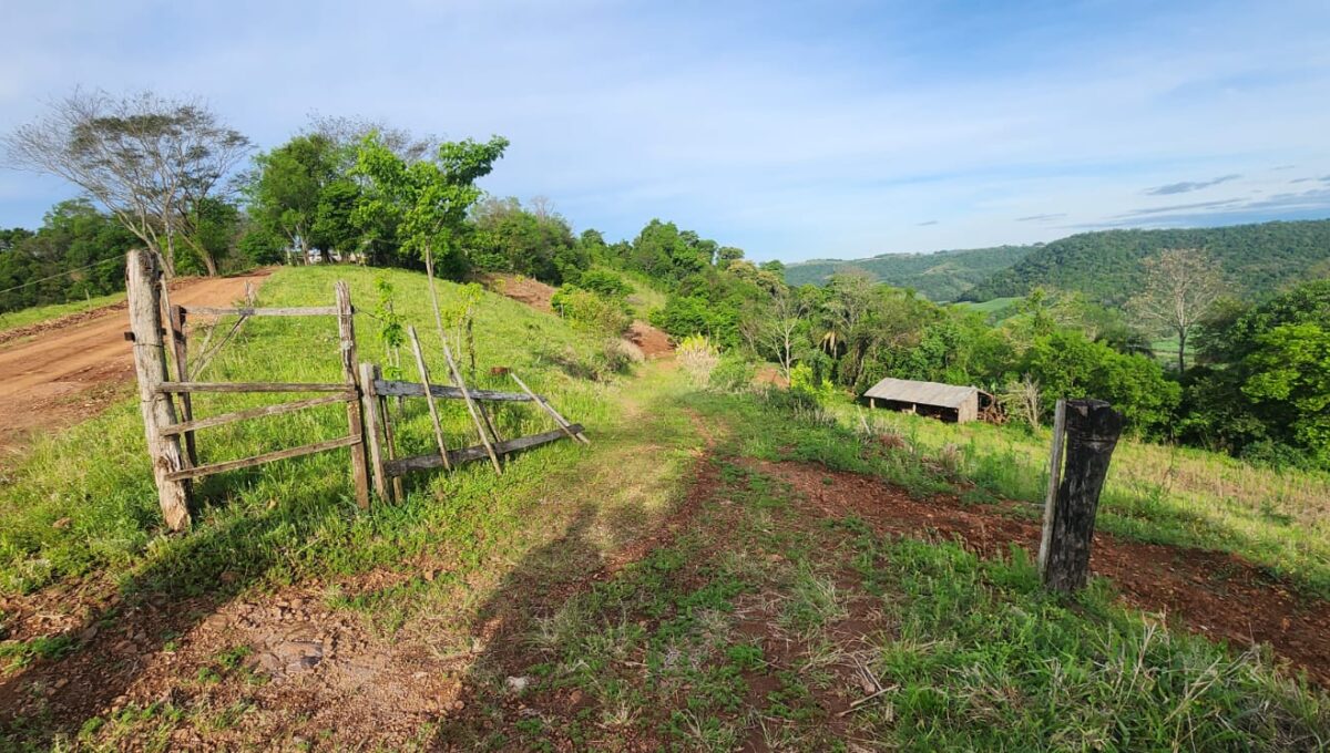 WhatsApp Image 2025-10-17 at 15.41.45