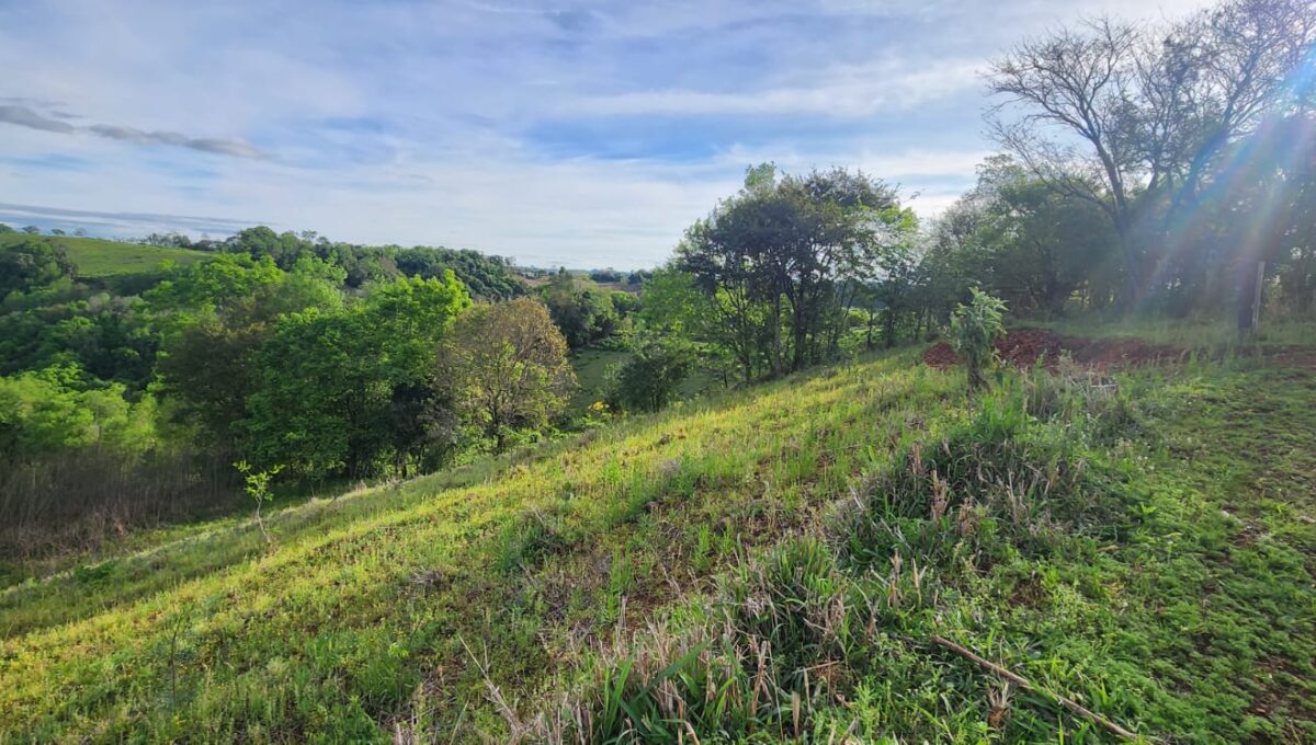 WhatsApp Image 2025-10-17 at 15.41.45 (2)