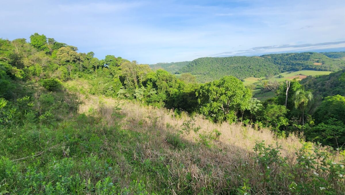 WhatsApp Image 2025-10-17 at 15.41.46 (1)