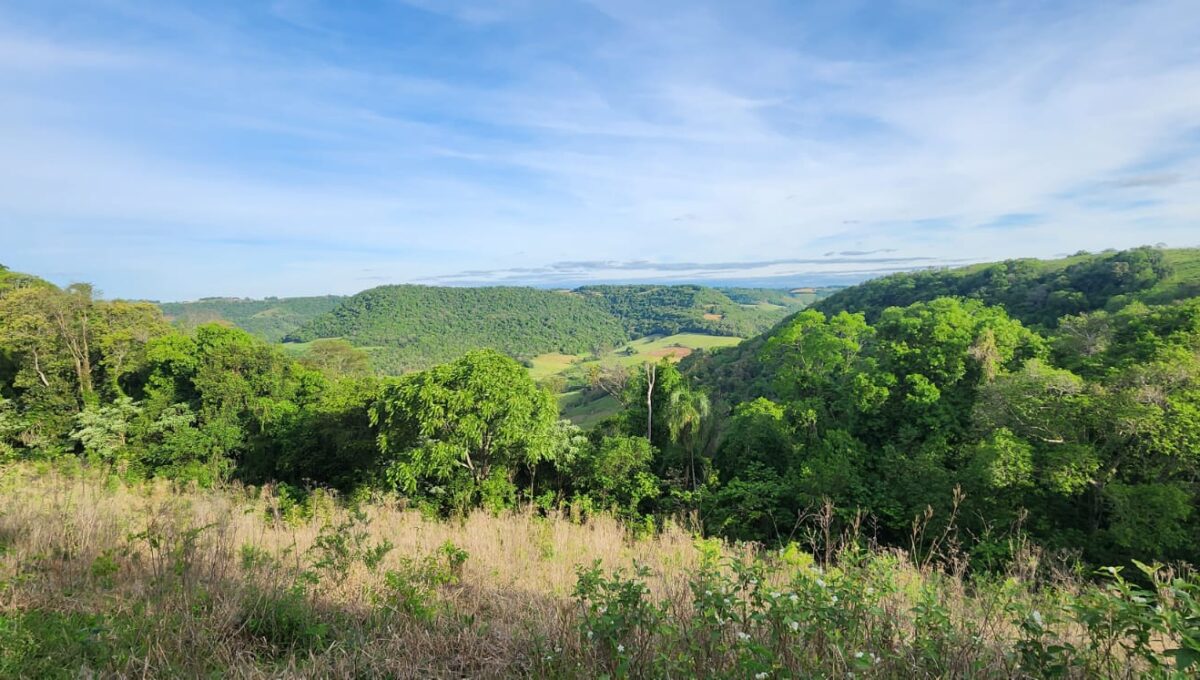 WhatsApp Image 2025-10-17 at 15.41.46 (2)