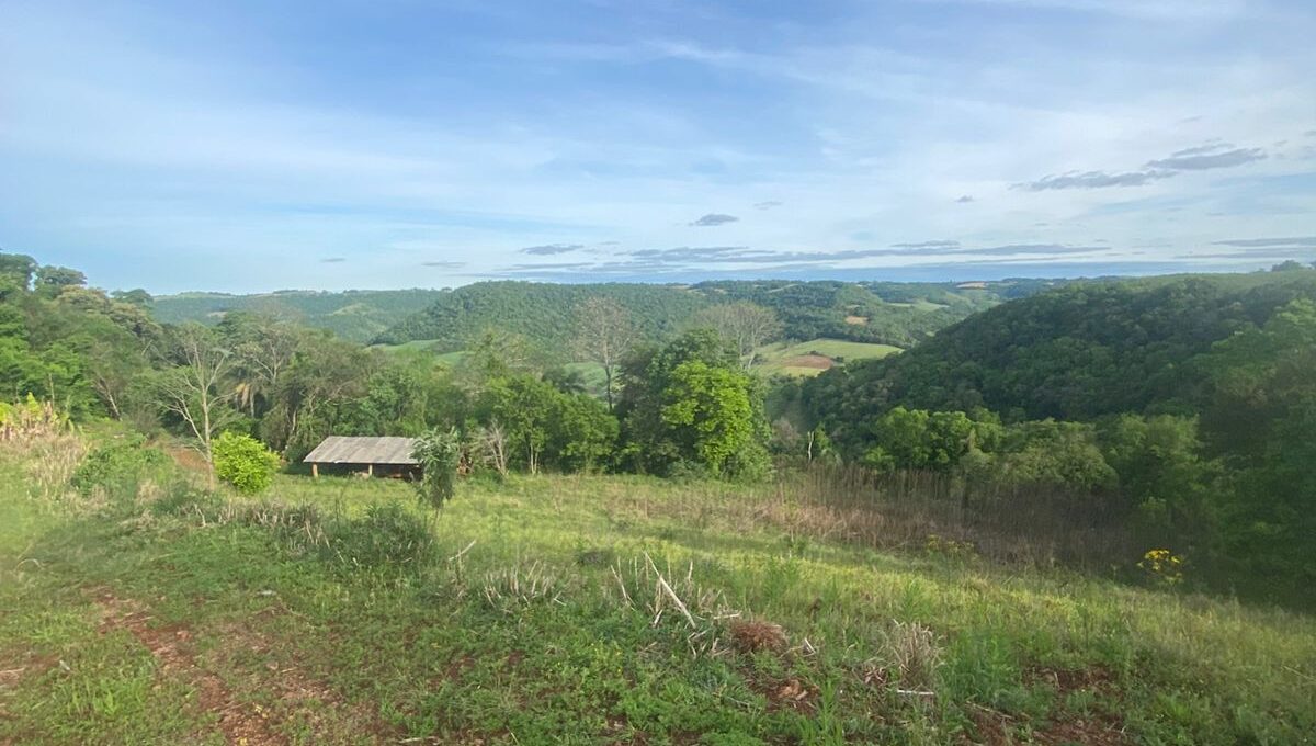 WhatsApp Image 2025-10-17 at 15.44.06 (1)