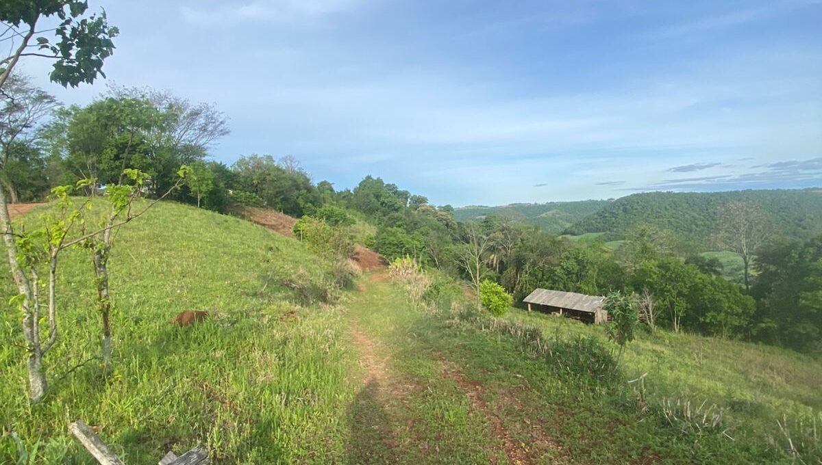 WhatsApp Image 2025-10-17 at 15.44.07 (1)