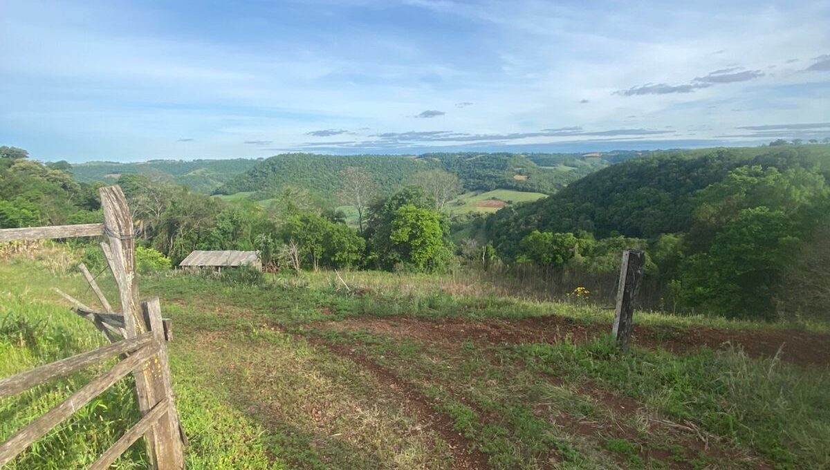 WhatsApp Image 2025-10-17 at 15.44.07