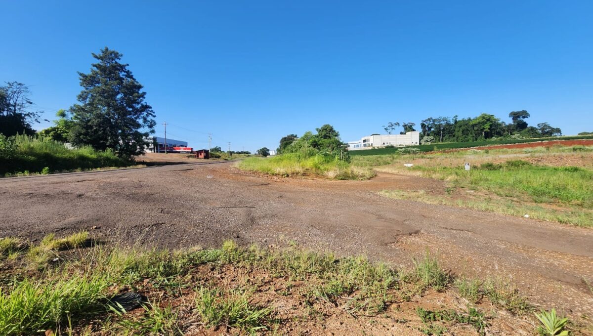 WhatsApp Image 2026-01-29 at 10.16.08 (1)