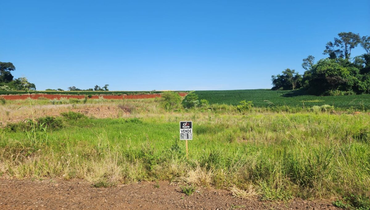 WhatsApp Image 2026-01-29 at 10.16.08