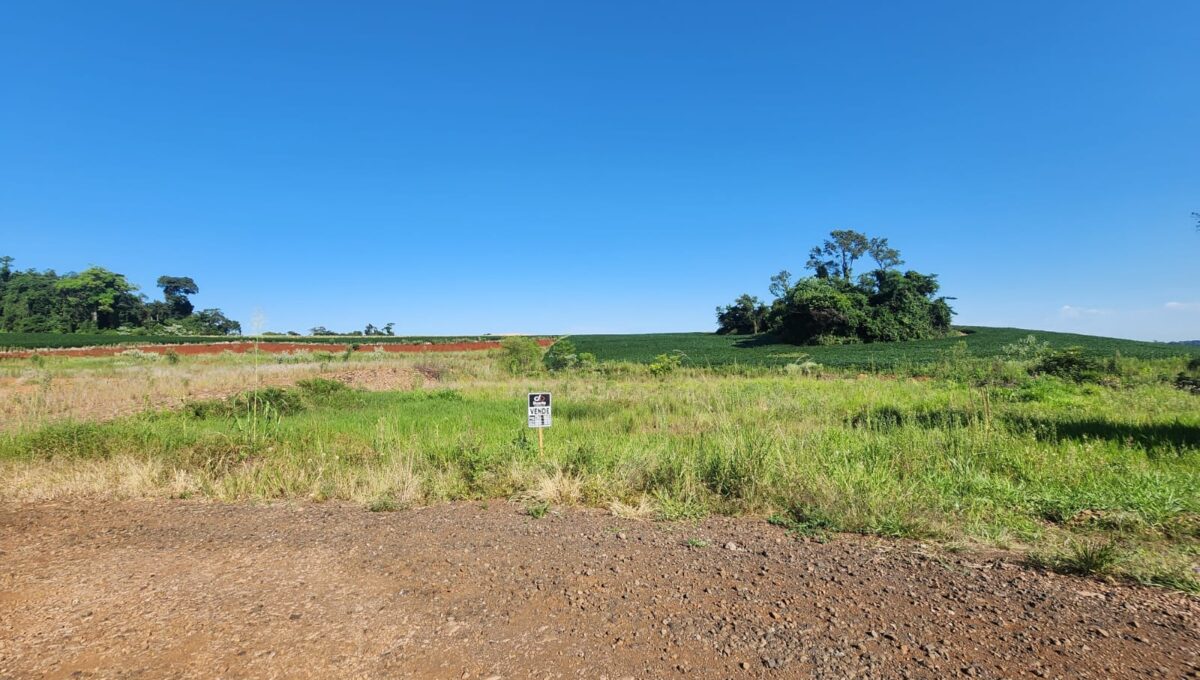 WhatsApp Image 2026-01-29 at 10.16.08 (4)