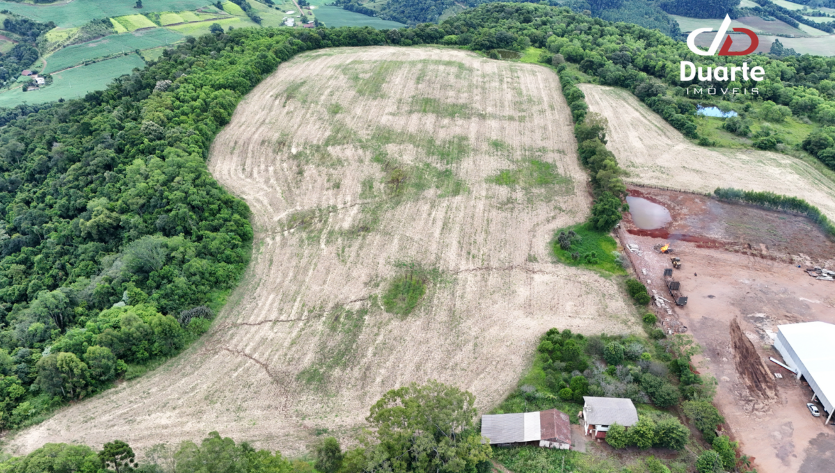 Area de terra Buffon 2