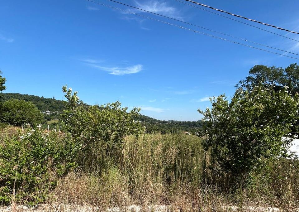 WhatsApp Image 2026-01-28 at 09.37.52