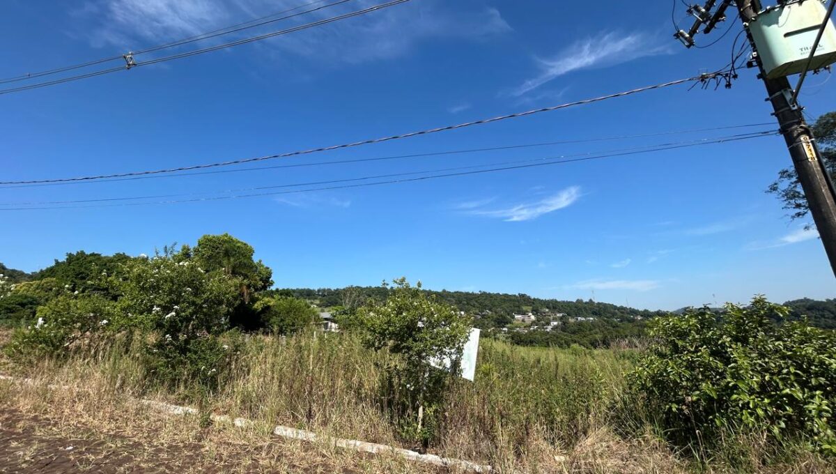 WhatsApp Image 2026-01-28 at 09.37.53 (1)