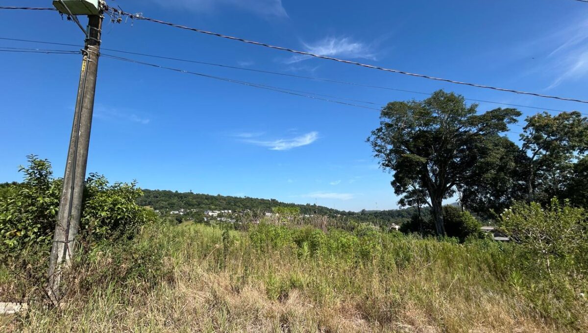 WhatsApp Image 2026-01-28 at 09.37.53 (2)