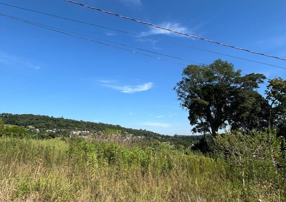 WhatsApp Image 2026-01-28 at 09.37.53 (3)