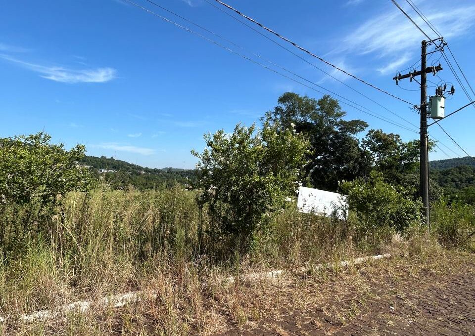 WhatsApp Image 2026-01-28 at 09.37.53