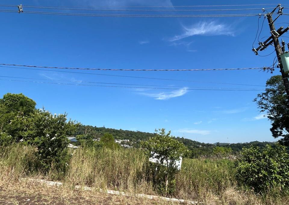 WhatsApp Image 2026-01-28 at 09.37.54