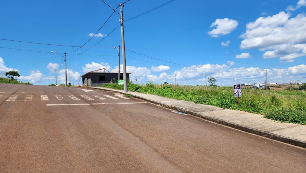 WhatsApp Image 2026-02-05 at 11.17.47