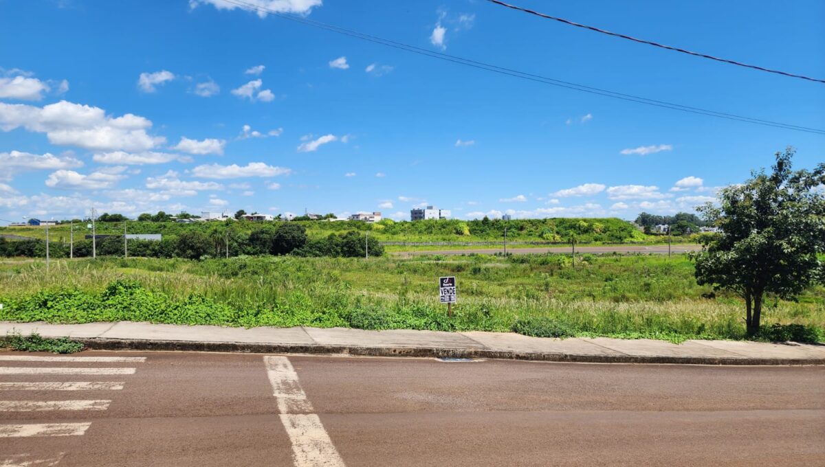 WhatsApp Image 2026-02-05 at 11.17.48