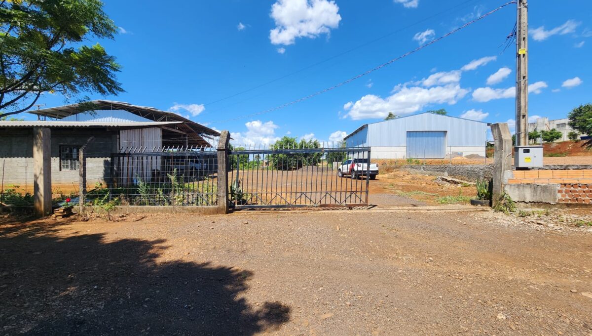 WhatsApp Image 2026-02-10 at 11.33.18