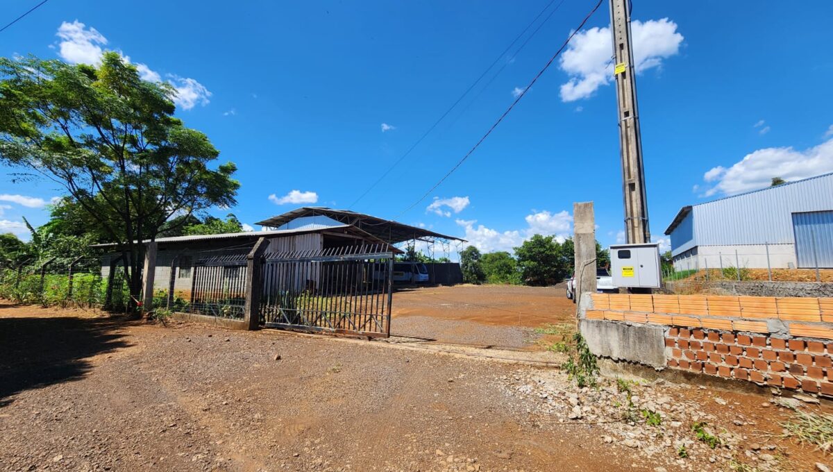 WhatsApp Image 2026-02-10 at 11.33.19 (1)