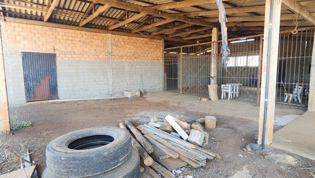 WhatsApp Image 2026-02-10 at 11.33.20