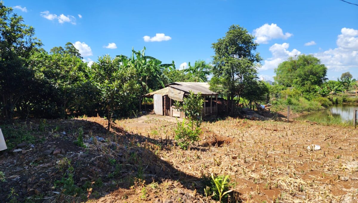 WhatsApp Image 2026-02-10 at 11.33.20 (3)