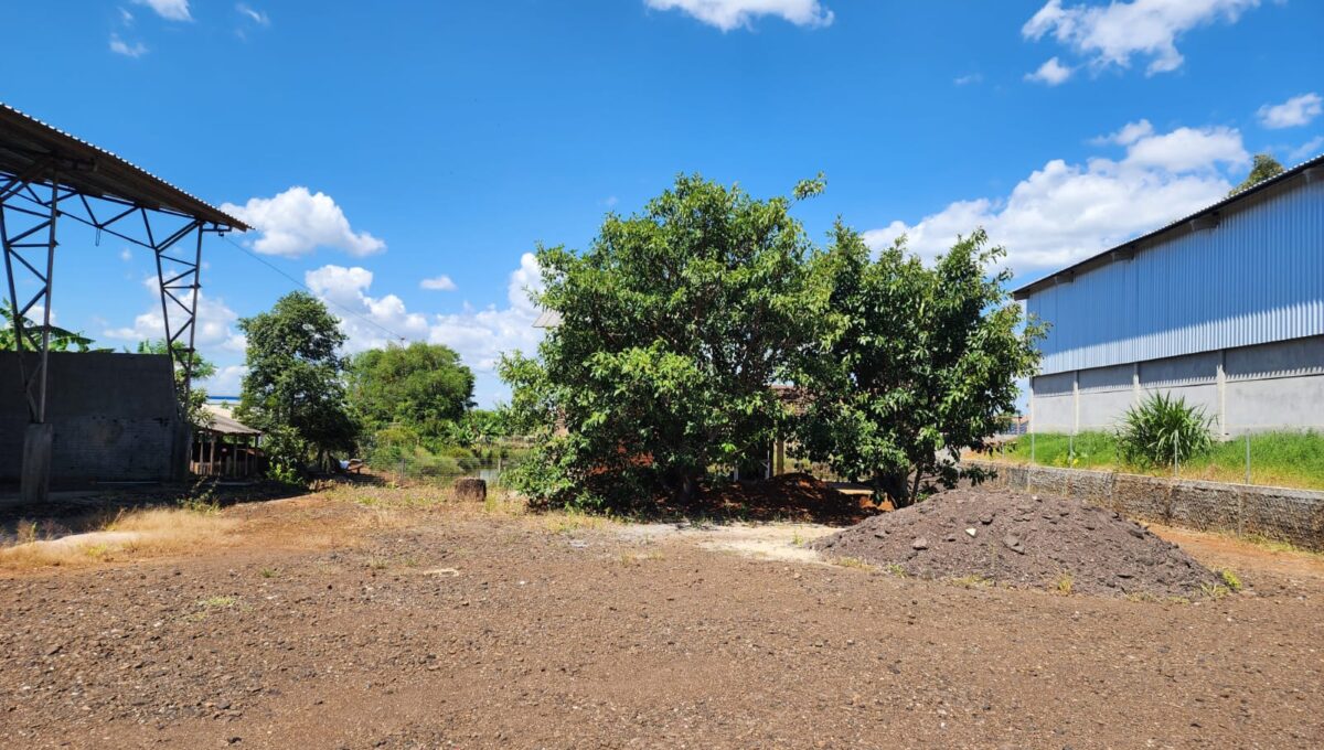 WhatsApp Image 2026-02-10 at 11.33.21 (1)