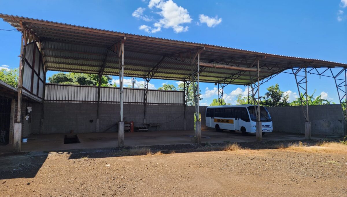 WhatsApp Image 2026-02-10 at 11.33.21 (3)