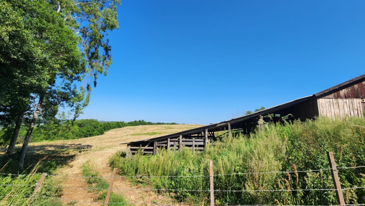 WhatsApp Image 2026-02-12 at 10.58.57 (1)