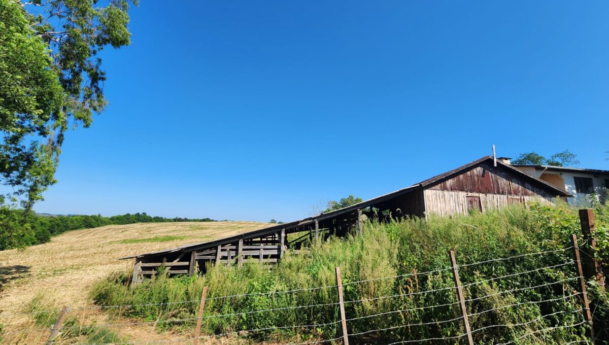 WhatsApp Image 2026-02-12 at 10.58.57