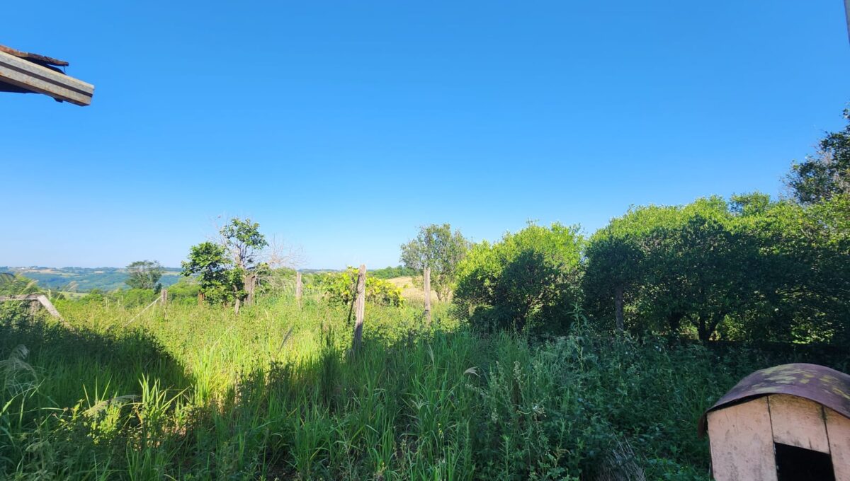 WhatsApp Image 2026-02-12 at 10.58.58