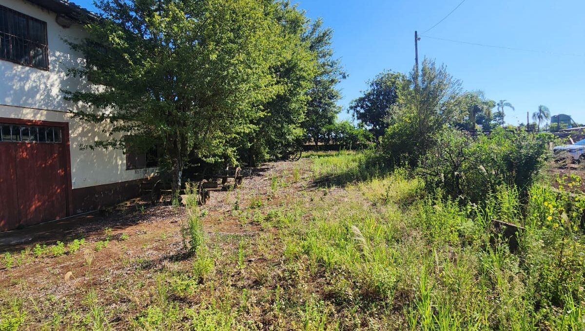 WhatsApp Image 2026-02-12 at 10.58.58 (2)