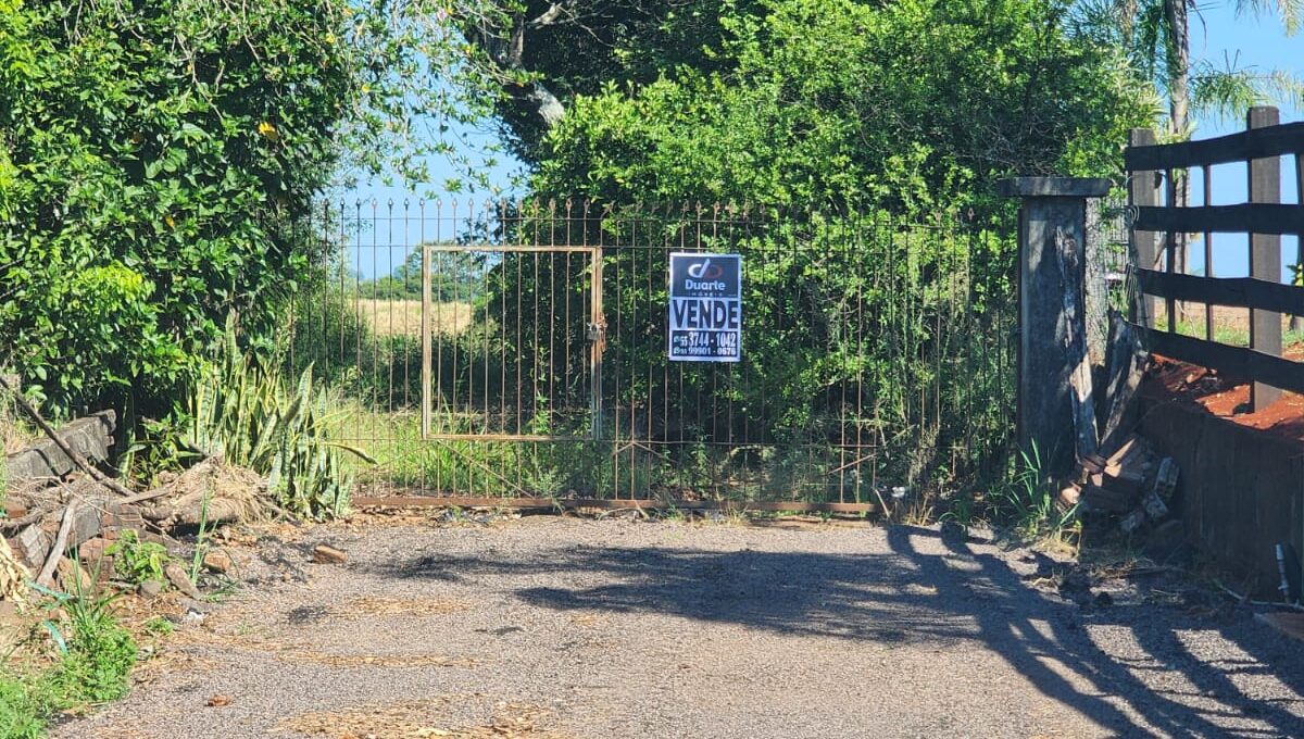 WhatsApp Image 2026-02-12 at 10.58.59