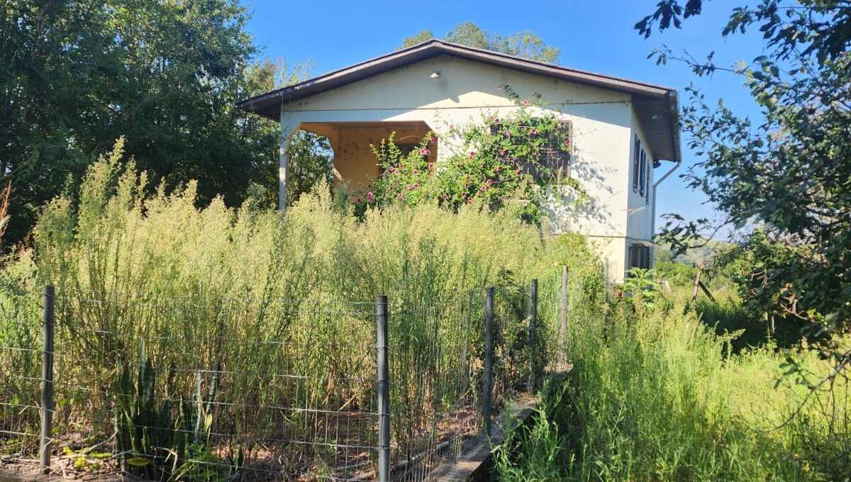 WhatsApp Image 2026-02-12 at 10.58.59 (2)