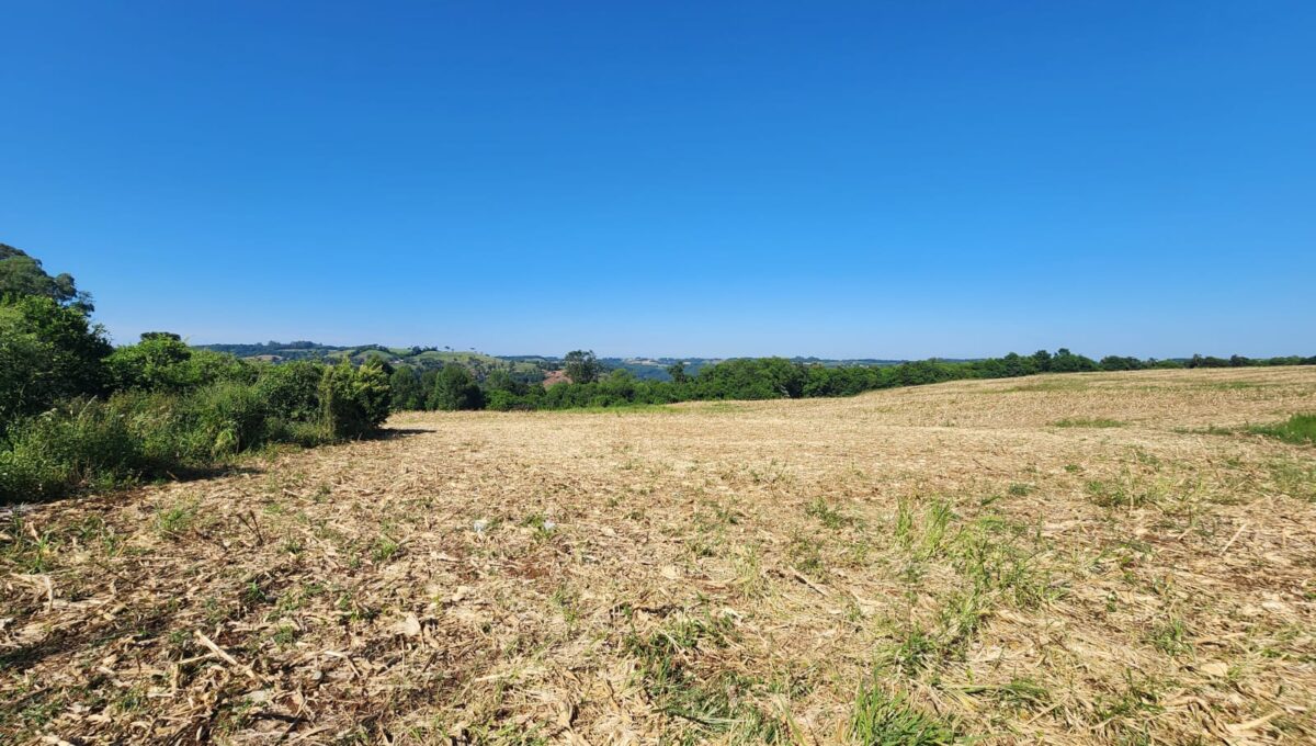 WhatsApp Image 2026-02-12 at 10.59.00 (1)