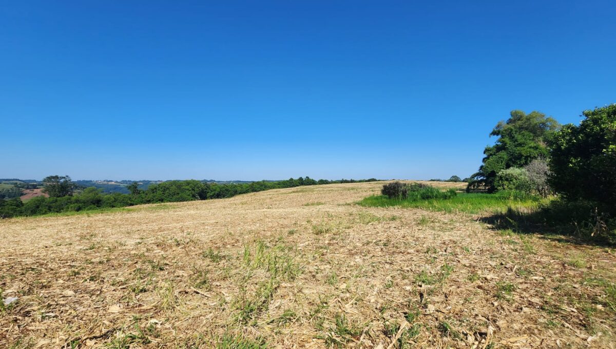 WhatsApp Image 2026-02-12 at 10.59.00