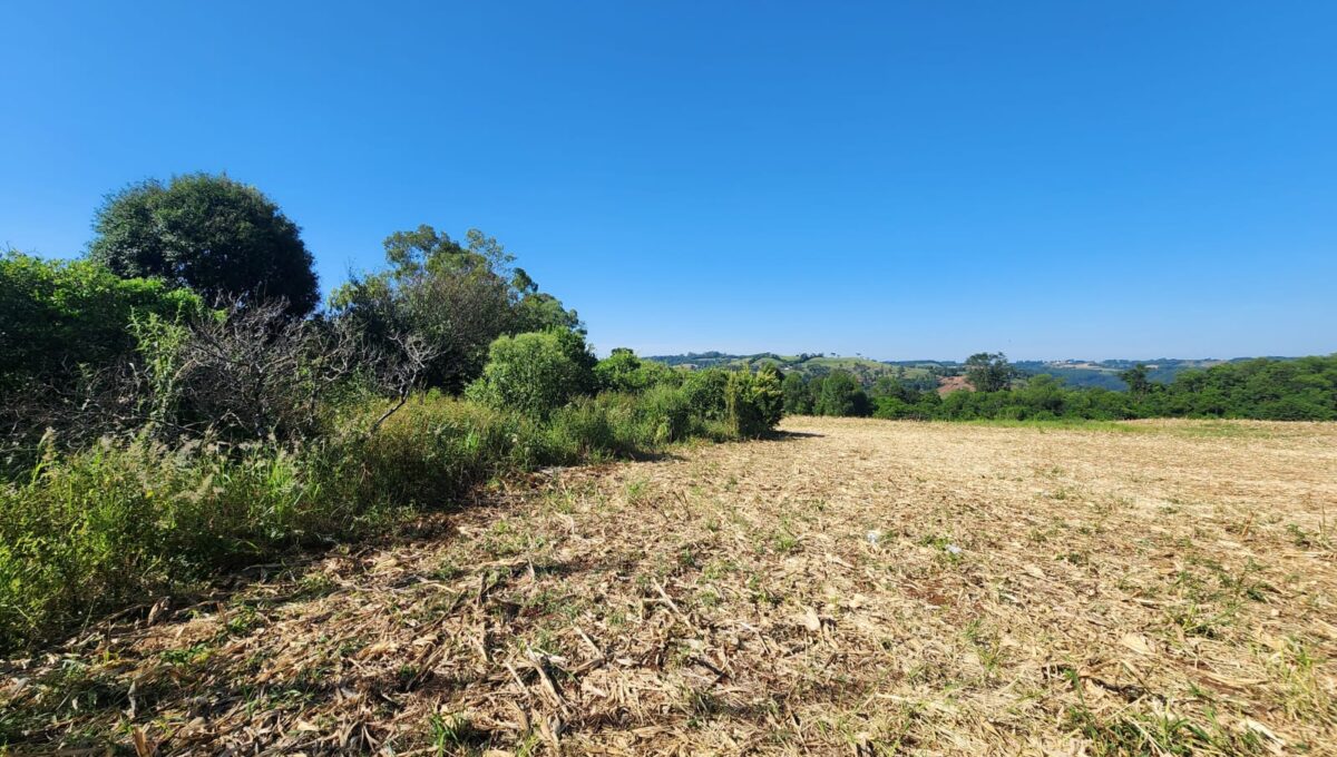 WhatsApp Image 2026-02-12 at 10.59.00 (2)