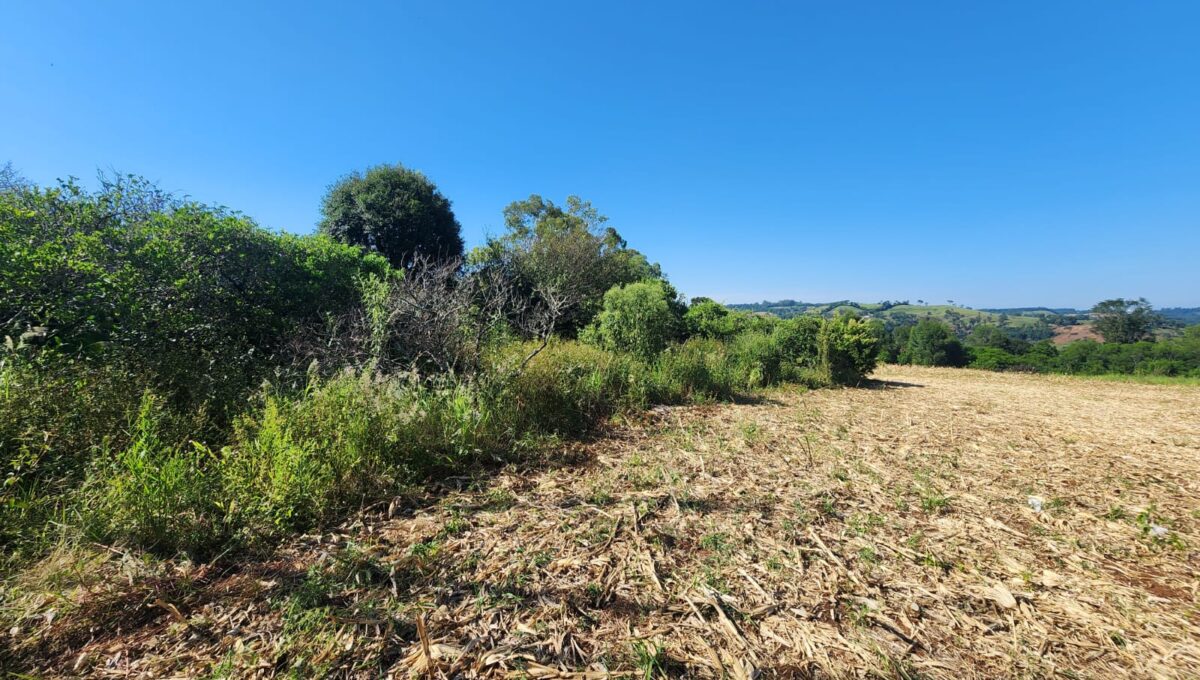 WhatsApp Image 2026-02-12 at 10.59.01 (1)