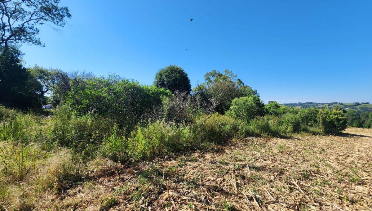 WhatsApp Image 2026-02-12 at 10.59.01