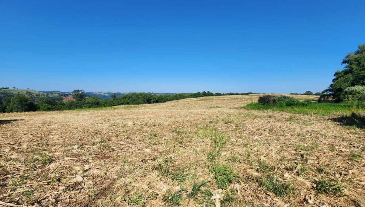 WhatsApp Image 2026-02-12 at 10.59.01 (2)